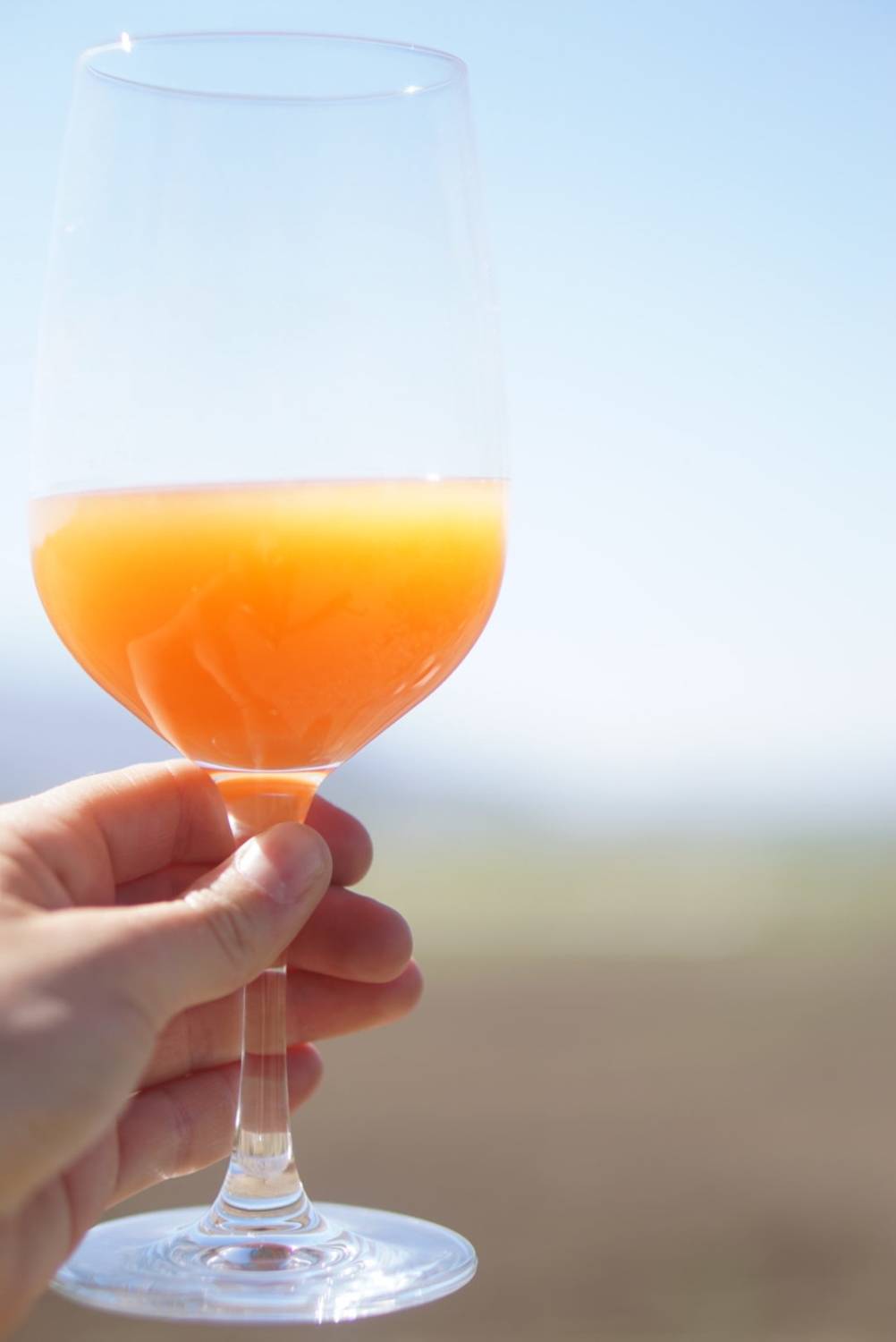 Real Turbulent Carrot Juice Beer..... The Carrot King! Cellador Ales