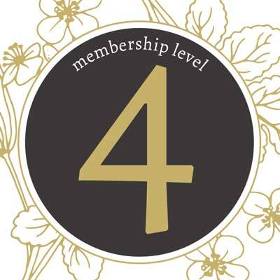 Membership Level 4