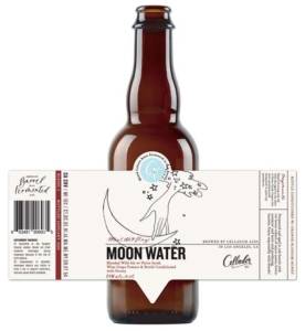 Moon Water bottle w/ label mockup