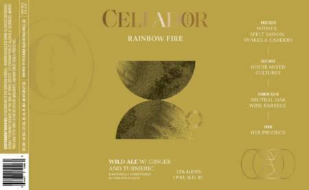 Rainbow Fire (2024) (16oz 4-Pack) - Image 3