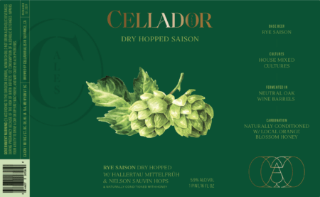 Dry Hopped Saison (16oz 4-Pack) - Image 5