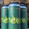 Dry Hopped Saison (16oz 4-Pack) - Image 2