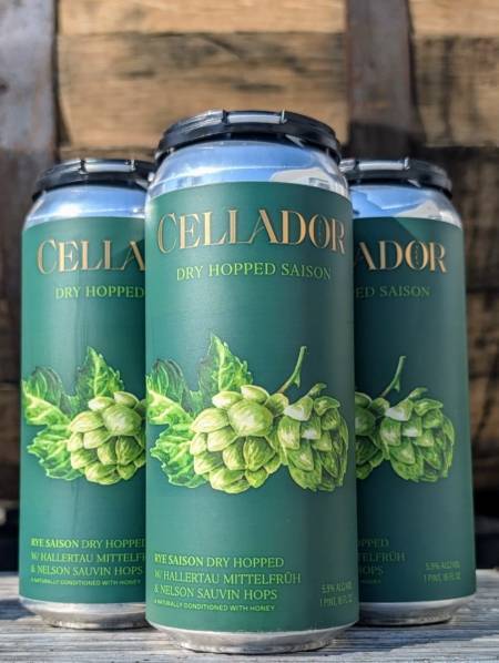 Dry Hopped Saison (16oz 4-Pack) - Image 2