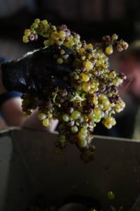 E8648C14-50BA-483C-B599-3108CFAB1B98